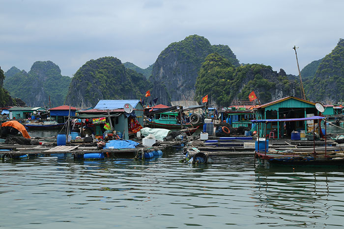 top 10 halong bay, 10 things to do halong bay, must see halong bay, floating village, fishing village